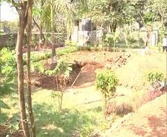 WEB EXCLUSIVE | मुलुंडच्या तरुणांचा 'मायक्रो-फॉरेस्ट'चा अभिनव उपक्रम | ABP Majha