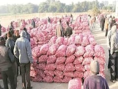 રાજકોટઃ જૂના માર્કેટ યાર્ડમાં થશે ડુંગળીની હરાજી, જુઓ વીડિયો