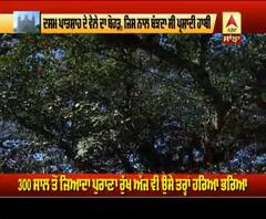 ਦਸਮ ਪਾਤਸ਼ਾਹ ਦੇ ਵੇਲੇ ਦਾ ਬੋਹੜ, ਇਤਿਹਾਸਕ ਰੁੱਖ ਨਾਲ ਜੁੜੀ ਦਿਲਚਸਪ ਕਹਾਣੀ, ਜਾਣੋ 