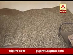 અરવલ્લી: કઠોળના ભાવમાં ઘટાડો થતા ખેડૂતોને થયું નુકસાન, જુઓ વીડિયો 