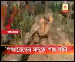 হাওড়ার ডোমজুড়ের বেগড়ি গ্রামে কেটে ফেলা হল শতাধিক গাছ