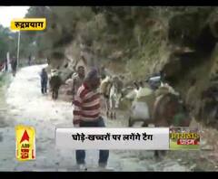 घोड़े-खच्चरों पर लगेंगे टैग