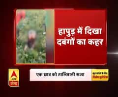 हापुड़: दबंगों ने युवक को बेरहमी से पीटा