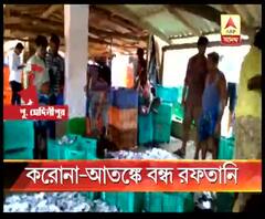 করোনা আতঙ্কের জেরে চিনে বন্ধ মাছ রফতানি, ব্যাপক লোকসানের মুখে পূর্ব মেদিনীপুরের বহু মত্স্য জীবী