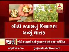 મુદ્દાની વાતઃ બીટી કપાસનું બિયારણ બન્યું ઘાતક, જુઓ અહેવાલ 