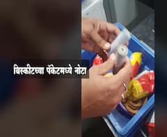 Foreign Currency Smuggling | भुईमुगांच्या शेंगांमधून विदेशी चलनाची तस्करी, बिस्किटात, पाकिटातही लपवल्या नोटा