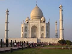 क्या Trump को बंदर जाने देंगे ताजमहल के अंदर ? | ABP Special