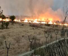 Solapur Airport Fire | सोलापूर विमानतळ परिसरात भीषण आग, वाळलेल्या गवताने पेट घेतल्याने आगीचा भडका