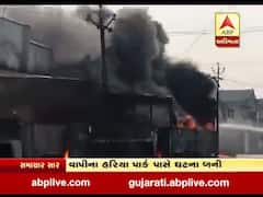 વલસાડ: GIDCની કંપનીમાં ભીષણ આગ, જુઓ વીડિયો