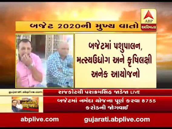 રૂપાણી સરકારના બજેટને લઈને રાજકોટના લોધિકા તાલુકાના ખેડૂતોની શું છે પ્રતિક્રિયા ? જુઓ વીડિયો 