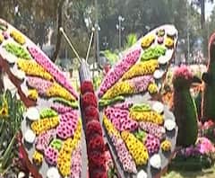 Rani Bagh | मुंबईच्या राणीच्या बागेत वार्षिक उद्यान प्रदर्शन | ABP Majha