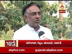 આંબા પર મોર દેખાતા દક્ષિણ ગુજરાતના ખેડૂતો ખુશખુશાલ, જુઓ વીડિયો 