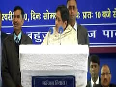 Delhi Election 2020: Mayawati ने तालकटोरा स्टेडियम में की रैली, मीडिया पर लगाया अनदेखी करने का आरोप