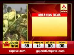 અરવલ્લી: બટાકાના પાકમાં મોલો મસી નામની જીવાતનો ઉપદ્રવ વધતા ખેડૂતો પરેશાન, જુઓ વીડિયો