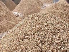 જુનાગઢના ભેંસાણમાં વધુ એક મગફળી કાંડ, ઉચ્ચ અધિકારીઓ તપાસ માટે પહોંચ્યા, જુઓ વીડિયો