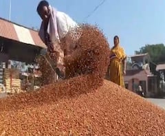 Akola Toor Dal Issue | तूर खरेदीच्या नोंदणीला सुरुवात, खरेदी केंद्र मात्र दफ्तरीच | ABP Majha