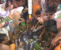 MahaShivratri | महाशिवरात्रीनिमित्त राज्यातील शिवमंदिरं भाविकांच्या गर्दीनं फुलली