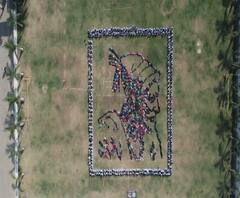 ShivJayanti 2020 | उस्मानाबादमध्ये नऊ हजार वृक्षांपासून साकारली शिवप्रतिमा | ABP Majha