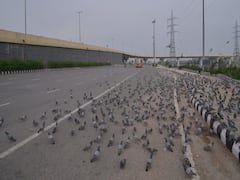 ગુજરાત લોકડાઉનઃ અમદાવાદની આર્યન સોસાયટીમાં બહારનો લોકોને પ્રવેશ નહીં, જુઓ વીડિયો