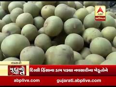મુદ્દાની વાતઃ દિલ્હી હિંસાના કારણે ચીકુનો વેપાર અટક્યો, નવસારીના ખેડૂતોનો માલ નથી વેચાઇ રહ્યો, જુઓ વીડિયો