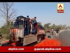 મુદ્દાની વાતઃ પુરતા ભાવ ના મળતા ખેડૂતો પરેશાન, ખેડામાં ખેડૂતોએ રસ્તાં પર ટામેટા ફેંકીને ઠાલવ્યો ગુસ્સો, જુઓ વીડિયો