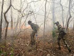 ગીર સોમનાથઃ વેલન ગામે જંગલમાં લાગેલી આગ બેકાબૂ, જુઓ વીડિયો