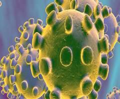 #Coronavirus | रत्नागिरीत कोरोनाची तपासणी करणाऱ्या महिला डॉक्टरांमध्येच कोरोनाची लक्षणं