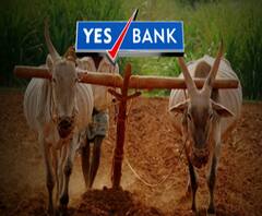 Yes Bank | येस बँकेवरील निर्बंधाचा सरकारच्या कर्जमाफी योजनेला फटका 