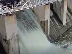 અમરેલીઃ શેલ દેદુમલ ડેમમાંથી છોડાયું પાણી, ખેડૂતોને કેટલો થશે ફાયદો? જુઓ વીડિયો