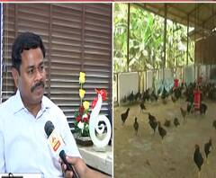 Corona Affects Chicken Rates | कोरोनाचा चिकन दरावर परिणाम, 10 रुपये प्रतिकिलोने चिकनची विक्री