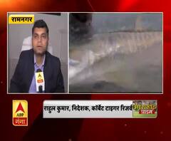 महाशीर मछली को बचाने की मुहिम संरक्षण पर दिया जा रहा जोर