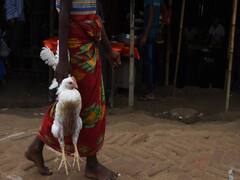 नॉनवेज खाने से कोरोना फैलने के दावे की पड़ताल | सच्चाई का सेंसेक्स