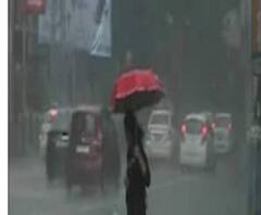 বৃষ্টিভেজা রঙের উৎসব নয়! রোদ ঝলমলে দোলের পূর্বাভাস আবহাওয়া দফতরের