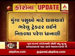 પશુઓ માટે ઘાસચારો ભરેલું ટ્રેક્ટર લઇને નીકળ્યા વિપક્ષ નેતા પરેશ ધાનાણી, જુઓ વીડિયો