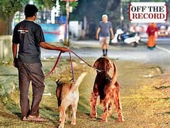 Off the Record with Pankaj Jha| PASSES FOR TAKING YOUR DOGS OUT AMIDST LOCKDOWN| ABP Uncut