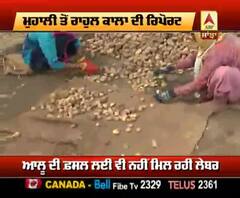 ਕਿਸਾਨ ਦੀ ਮਿਹਨਤ ਕੌਡੀਆਂ ਦੇ ਭਾਅ - ਮੰਡੀਆਂ 'ਚ ਚਾਰ ਗੁਣਾ ਵੇਚ ਰਹੇ ਫ਼ਸਲ