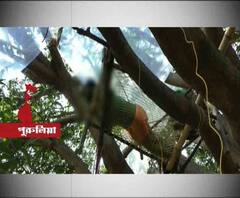 গাছের ডালেই কোয়ারেন্টিনে পুরুলিয়ায় চেন্নাই ফেরত ৭ শ্রমিক!