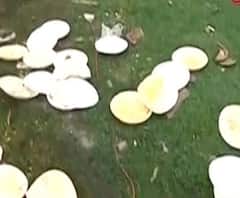 হাইকোর্টের নির্দেশ অমান্য করে অবাধে আগুন জ্বালিয়ে রান্না, অমিত শাহের সভার পর বেহাল দশা শহিদ মিনার চত্বরের