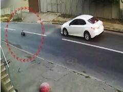 A look at videos which are going viral on social media