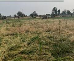 Nonseasonal Rain | अवकाळी आलेल्या पावसाने शेतमाल वाहून नेला, तूर, हरभरा, गव्हाचं राज्यभरात मोठं नुकसान | स्पेशल रिपोर्ट