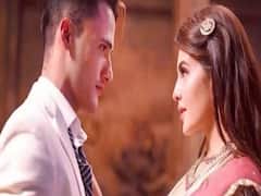 Asim Riaz to shoot another music video and this time with Himanshi Khurana