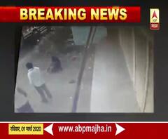 Cow attack on Women | माजलगावमध्ये मोकाट गायीचा महिलांवर हल्ला, दोन महिला जखमी