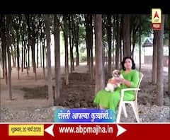 डॉ. शीतल आमटे | मानव आणि कुत्रा यांची मैत्री! दोस्ती आपल्या कुत्र्यांशी | VLOG Majha