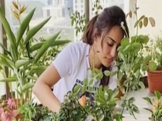 Actress Surbhi Jyoti indulges in gardening during lock-down period