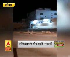 खाली सड़क पर हाथी की चहलकदमी,लॉकडाउन के बीच हाईवे पर हाथी