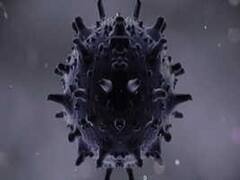 Coronavirus को देखते हुए बिहार सरकार का गरीब परिवारों के लिए बड़ा एलान