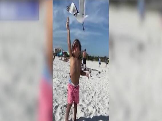 चिड़िया ने बच्चे से छीनी बिस्किट, देखिए देश-दुनिया की वायरल खबरें