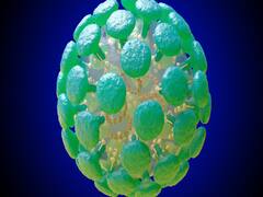 Coronavirus: Number of positive cases reach 775