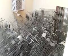 Dhule Corporation | धुळे पालिका आवाराच चार हजार ट्री गार्ड सहा महिन्यांपासून धूळखात