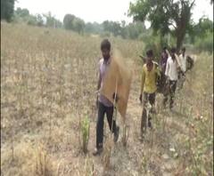 Special Report | गावाच्या सरपंचपदी, पण दोन वेळेच्या जेवणासाठी भटकंती, फासेपारधी समाजाची भटकंती कधी थांबेल?